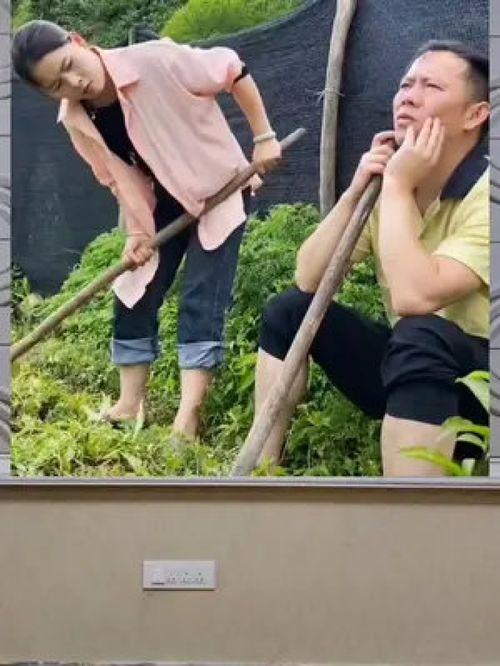 娱乐八卦 吃瓜群众,吃瓜群众揭秘明星幕后故事